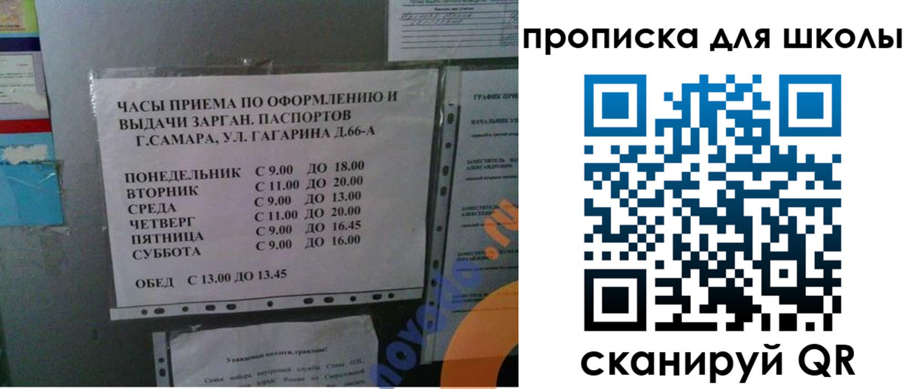 где прописаться в Лузе